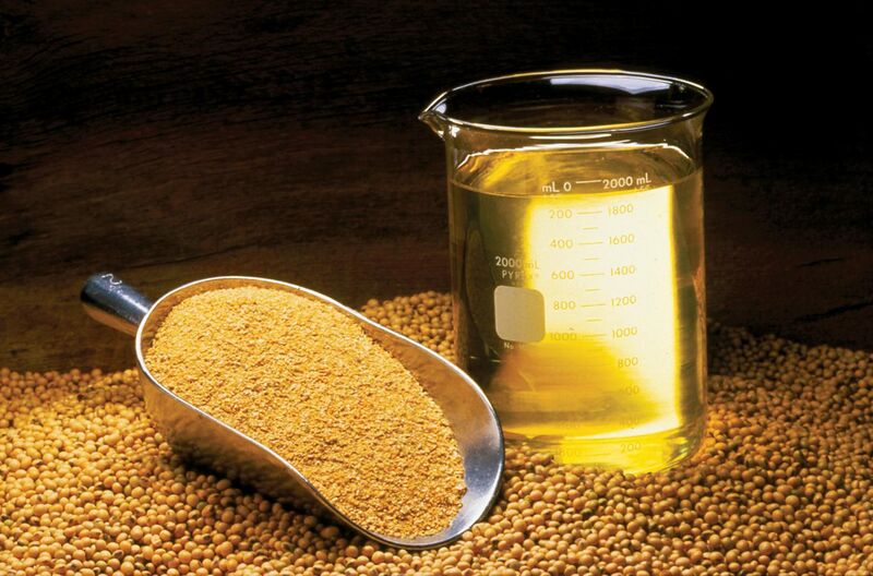 File:Soybean Oil, Meal and Beans (10059732523).jpg