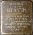 Stolperstein for Edith Stein.