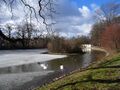 Swan family Carolasee 8 February 2015 116632295.jpg