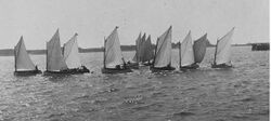 Woods Hole spritsail boats racing circa 1900.jpg