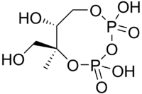 Skeletal formula of 2-C-methyl-D-erythritol-2,4-cyclodiphosphate