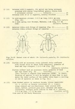 Aquatic dryopoid beetles (Coleoptera) of the United States (Page 28) BHL3286826.jpg