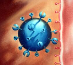 CSIRO ScienceImage 354 Influenza Protein Attaching to Cell Membrane.jpg