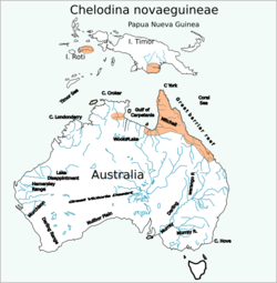 Chelodina novaeguineae distribution map.svg