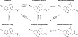 Citalopram metabolism.png