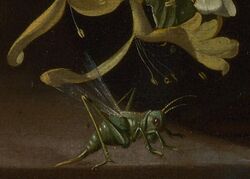 Grasshopper detail in Rachel Ruysch Flowers in a Vase c 1685.jpg