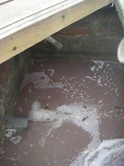 Greywater settling tank and grease trap (3109542163).jpg