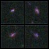 Hubble Ultra Deep Field region of the Cosmic Assembly Near-infrared Deep Extragalactic Legacy Survey.jpg