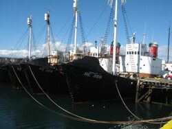 Icelandic whalers 08.JPG