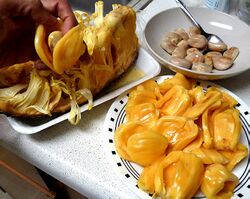 JackfruitArils&Seeds.jpg