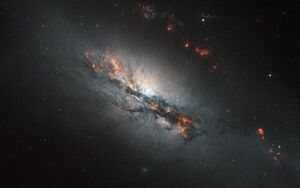 NGC 2146 HST.jpg