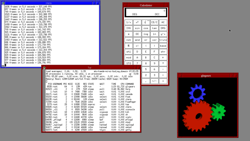 File:OpenBSD 7.0 fvwm screenshot.png