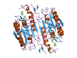 PDB 1nmq EBI.jpg