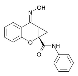 PHCCC structure.png