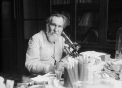 A bearded old man holding up a test tube. He is sitting at a table by a window. The table is covered with many small bottles and test tubes.
