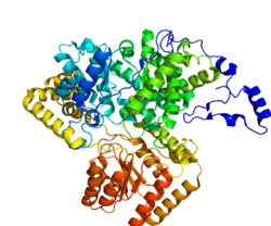 Protein MUT PDB 2XIJ.png