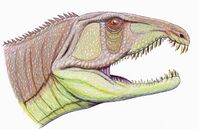 SarmatosuchusDB.jpg