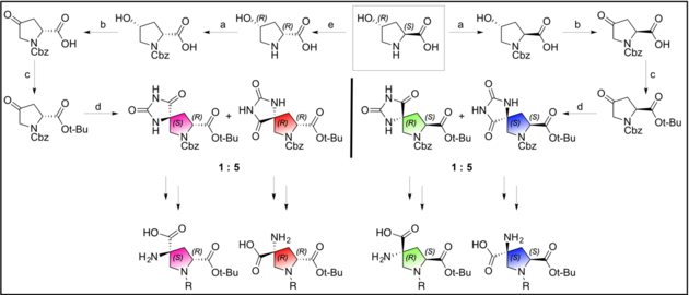 Synthesis of Spiroligomer building blocks (bis-amino acids)