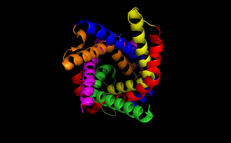 File:ATP-ADP Translocase Top View.png