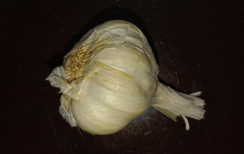 File:A garlic clove and its head.jpg