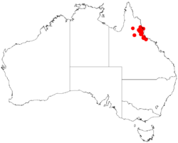 Acacia whiteiDistMap958.png