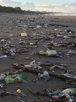 Scattered and degrading plastic covers the sand of a beautiful beach.