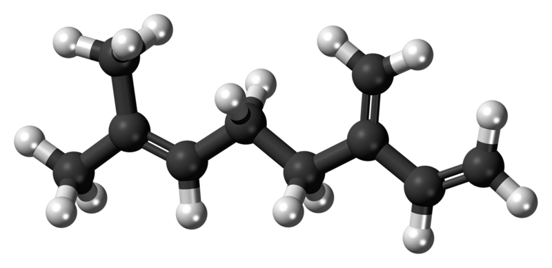 File:Beta-Myrcene molecule ball.png