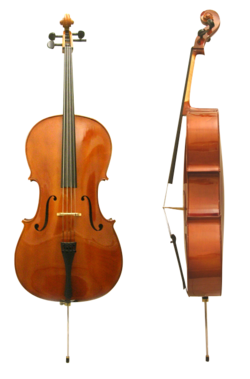 Cello front side.png