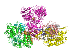 Crystal structure of the hydrophilic domain of respiratory complex I from Thermus thermophilus.png