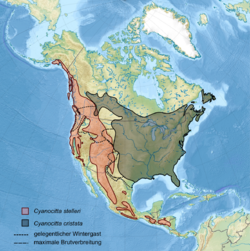 Cyanocitta distribution.svg