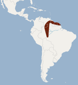 Distribution of Lonchorhina inusitata.png