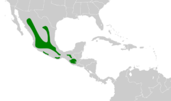 Empidonax affinis map.svg