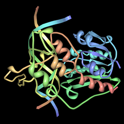 HaeIII-methyltransferase-dna-pdb-1DCT.png
