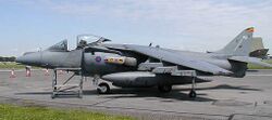 Harrier.kemble.750pix.jpg