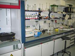 Lab bench.jpg