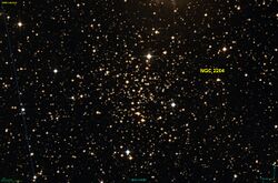 NGC 2204 DSS.jpg
