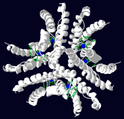 SwissPDB viewer rendering of Ni-SOD with the nickel cofactors shown in blue and the nickel binding hooks shown in green.