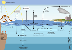 Overview of climatic changes and their effects on the ocean.png