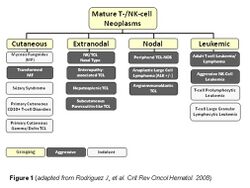 PTCL-subtypes.jpg