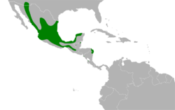 Peucaea botterii map.svg