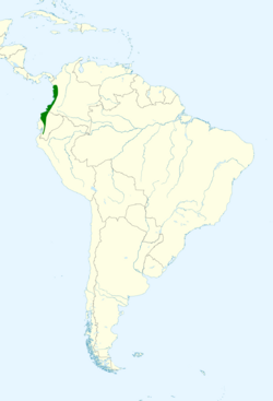 Pyrilia pulchra map.svg