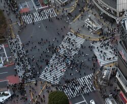 Scramble from above, SHIBUYA SKY (49367160502) (cropped).jpg