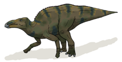 Shantungosaurus life.png