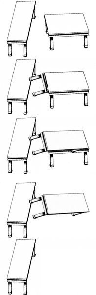 File:Shepard's tables in various rotations (cropped).png