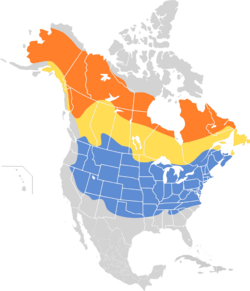 Spizelloides arborea map.svg