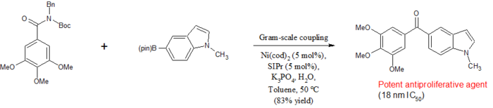 Suzuki-Miyaura synthesis antiproliferative agent.png