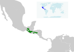 Turdus rufitorques map.svg