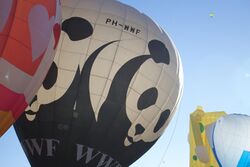 WWF Big Ballon 2013.jpg
