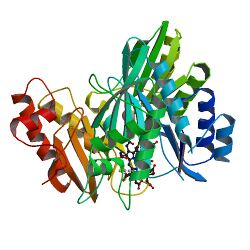 1aop SulfiteReductase.jpg