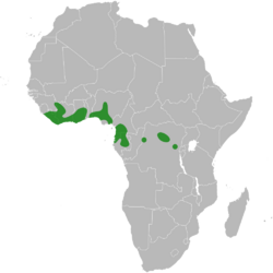 Baphia pubescens distribution.svg